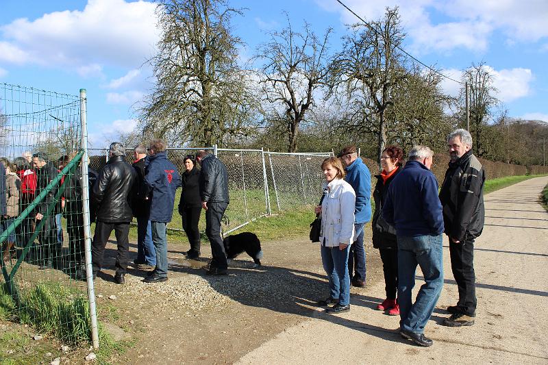 Winterwandeling op 2-3-2014 org. Armand en Judith Menten (29).JPG